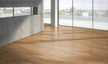 Parador Basic Plus 400 1426505 Яблоня Янтарная фото 2 | FLOORDEALER